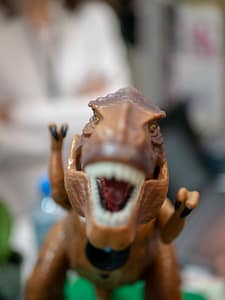 464712394_1071786234957333_7644628053909367500_n